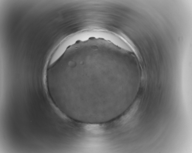 X0000088690909200706211924