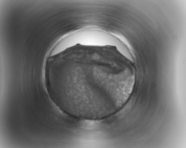 X0000088690910200706211924
