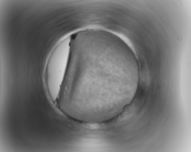 X0000088690911200706211924