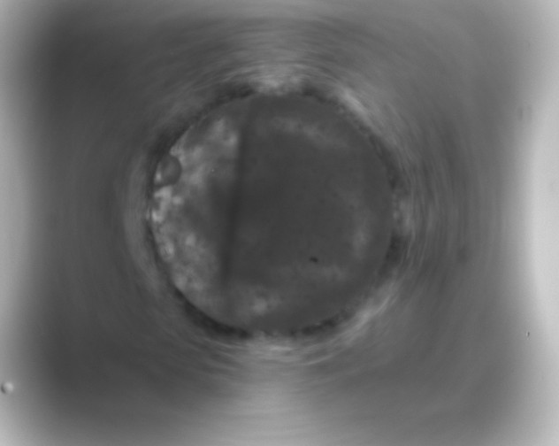 X0000088690913200706211924