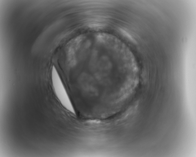 X0000088690917200706211924