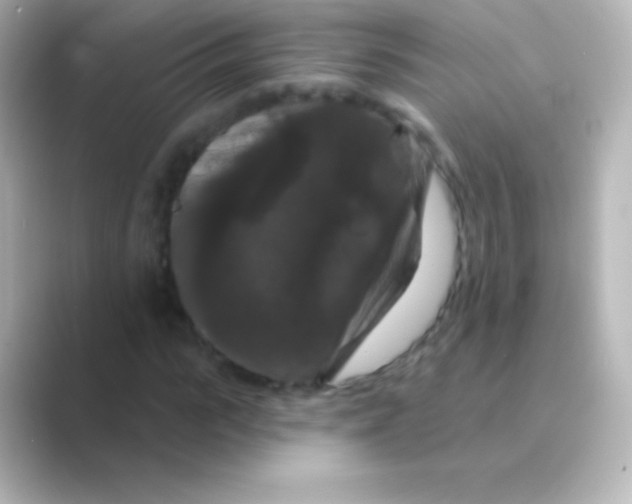 X0000088690919200706211924