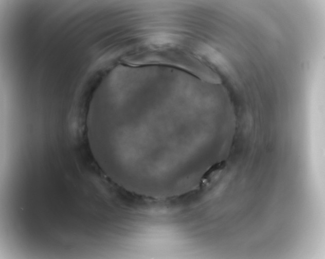 X0000088690920200706211924