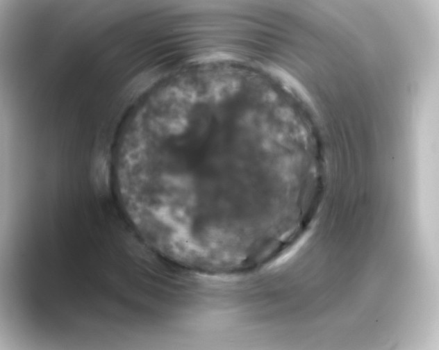 X0000088690921200706211924