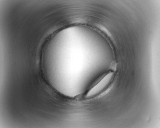 X0000088690922200706211924