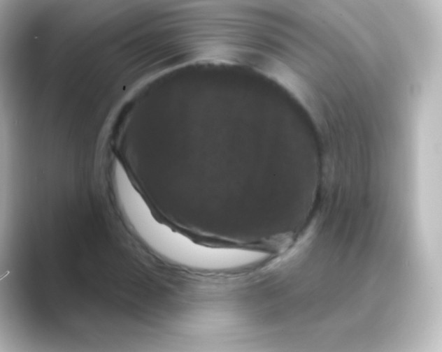 X0000088690923200706211924