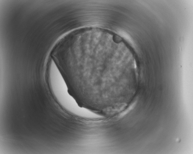 X0000088690924200706211924