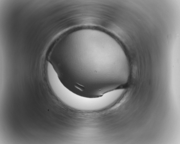 X0000088690926200706211924