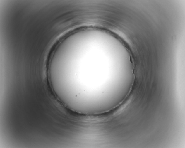 X0000088690927200706211924