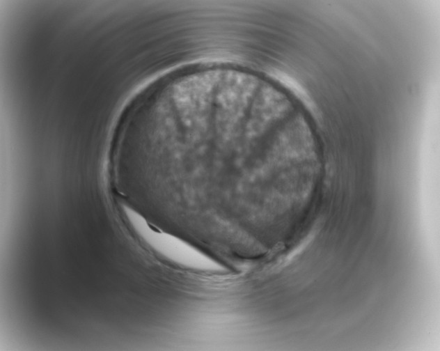 X0000088690928200706211924