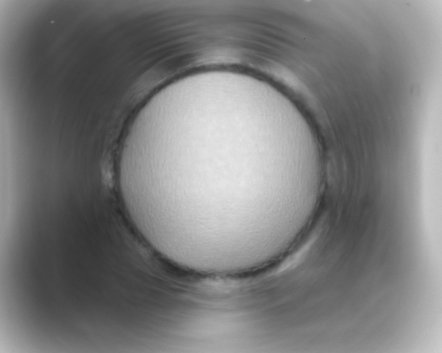 X0000088690929200706211924