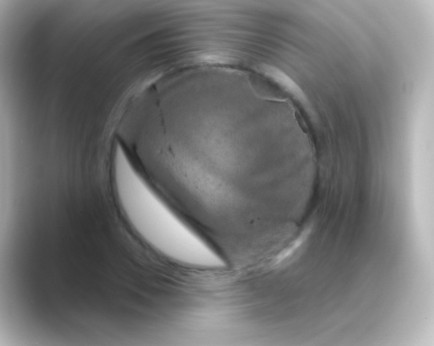 X0000088690930200706211924