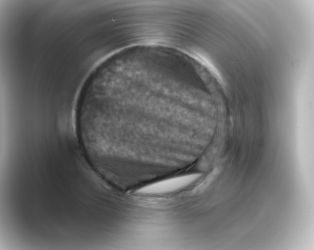 X0000088690932200706211924