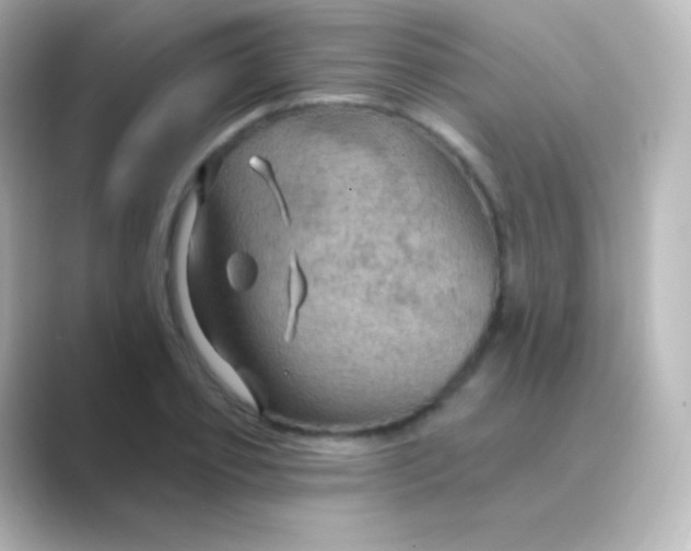 X0000088690933200706211924