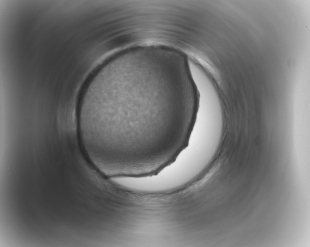 X0000088690934200706211924