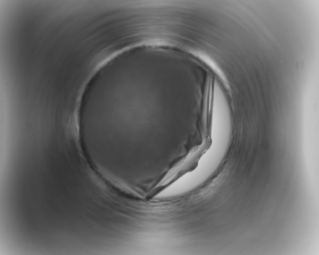 X0000088690935200706211924