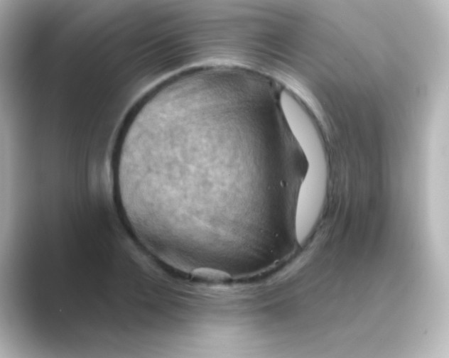 X0000088690936200706211924