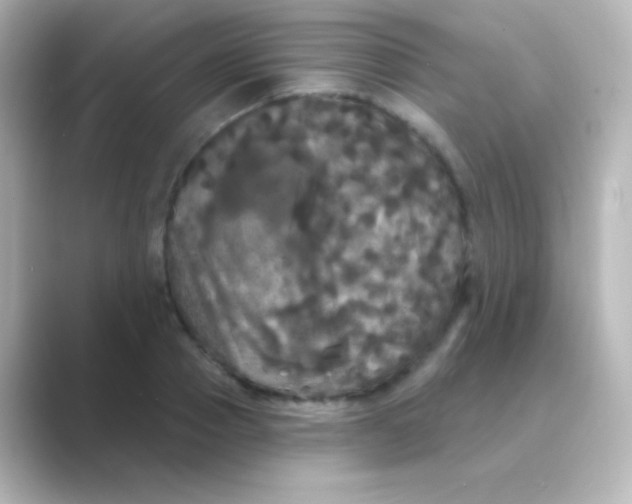 X0000088690937200706211924