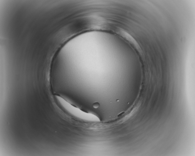 X0000088690938200706211924