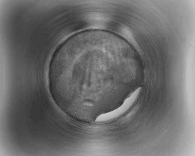 X0000088690939200706211924