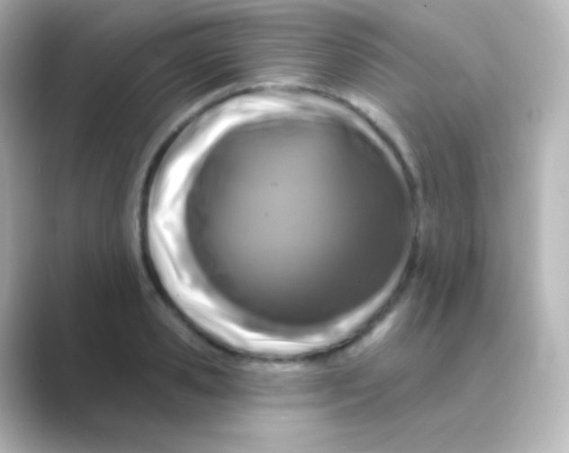 X0000088690941200706211924