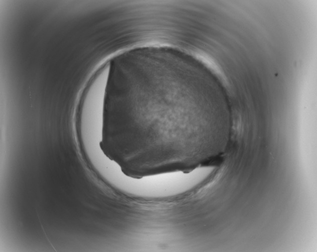 X0000088690942200706211924