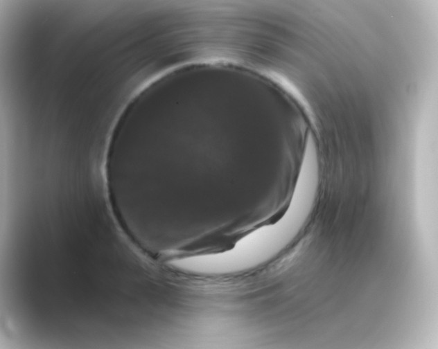 X0000088690943200706211924