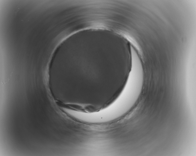 X0000088690944200706211924