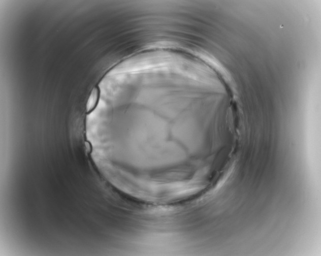 X0000088690945200706211924