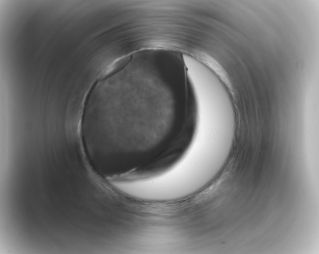 X0000088690946200706211924