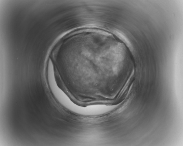 X0000088690948200706211924