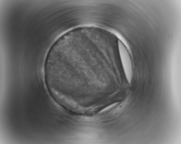 X0000088690951200706211924