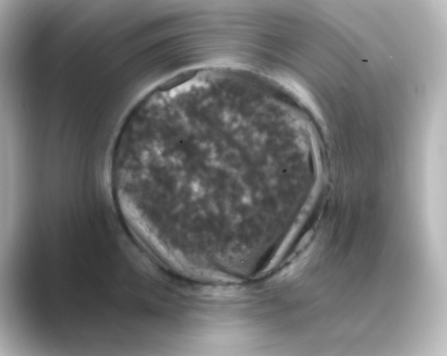 X0000088690952200706211924