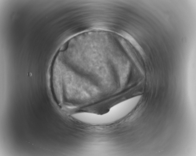 X0000088690955200706211924