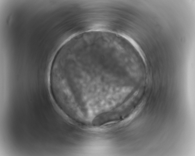 X0000088690957200706211924