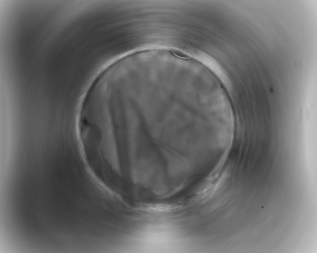 X0000088690958200706211924