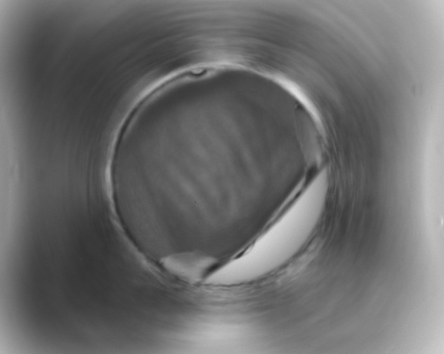 X0000088690959200706211924