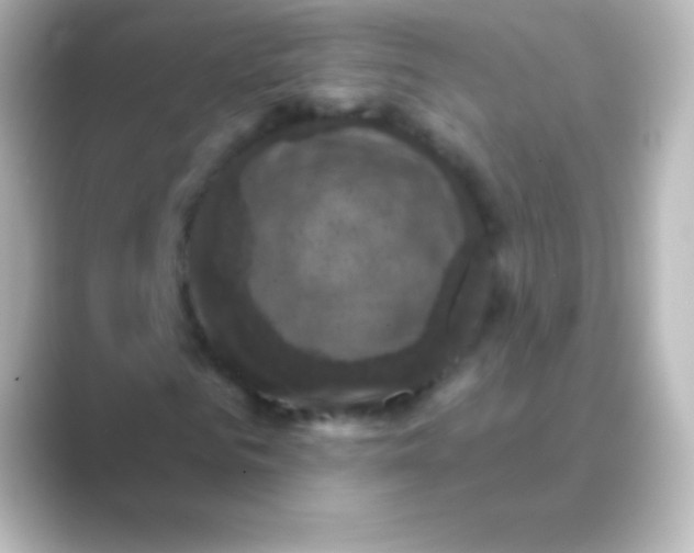 X0000088690961200706211924
