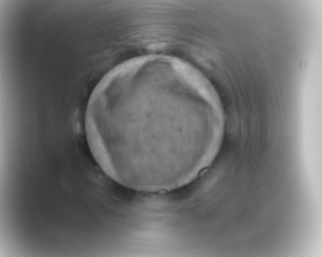 X0000088690962200706211924