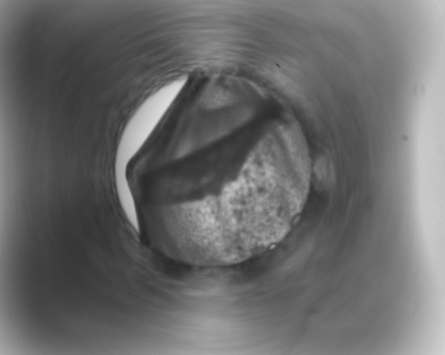 X0000088690963200706211924