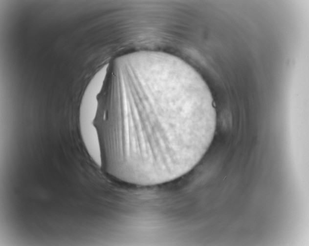 X0000088690964200706211924