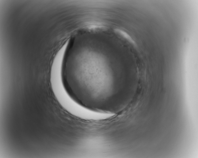 X0000088690965200706211924