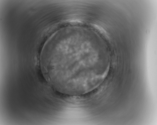 X0000088690966200706211924