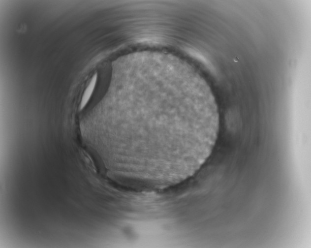 X0000088690968200706211924