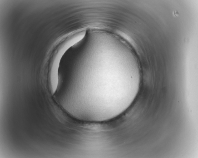 X0000088690971200706211924