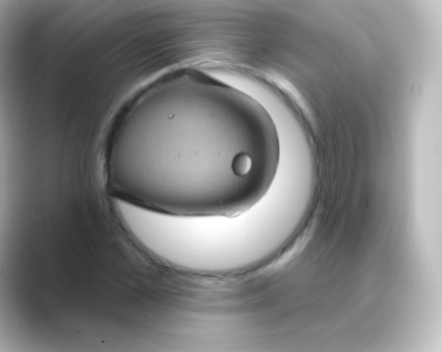 X0000088690973200706211924