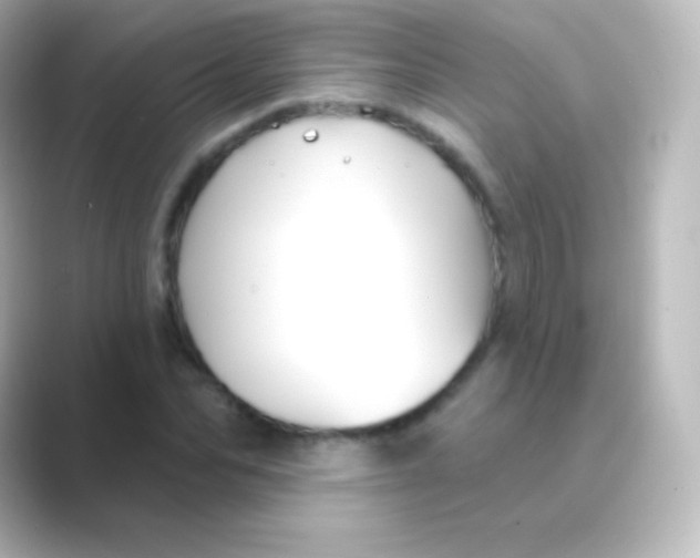 X0000088690974200706211924
