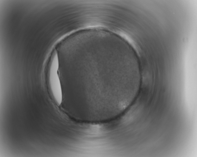 X0000088690975200706211924