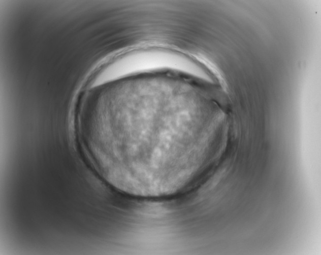 X0000088690976200706211924