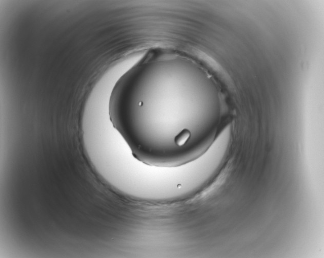 X0000088690977200706211924